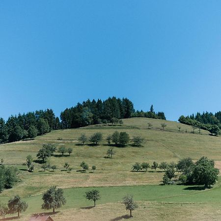 Moderne 2 Zi.-Fewo Blackforest Art Barrierefrei Naehe Freiburg Simonswald Esterno foto