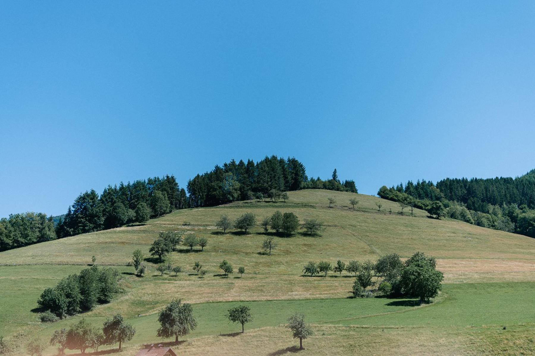 Moderne 2 Zi.-Fewo Blackforest Art Barrierefrei Naehe Freiburg Simonswald Esterno foto